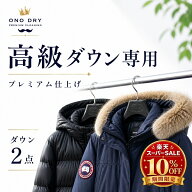 クリーニング【楽天スーパーSALE 10％OFF】プレミアムダウン2点 クリーニングパック 小野ドライ【サービ…