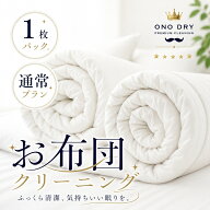 布団 クリーニング 羽毛布団 宅配 ふとん専科1点布団 クリーニング 小野ドライ【サービス特集認定商品】