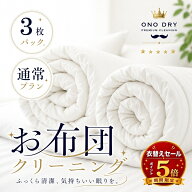 布団 クリーニング 羽毛布団 宅配 ふとん専科3点布団 クリーニング 小野ドライ【サービス特集認定商品】