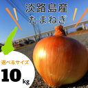 淡路島 玉ねぎ 10kg M/L/2L 選べる｜秀品｜産地直送・農家直送｜送料無料※北海道は追加送料｜おのころファーム 玉ね…