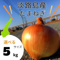 淡路島 玉ねぎ 5kg S/M/L/2L 選べる｜秀品｜産地直送・農家直送｜送料無料※北海道は追加送料｜おのころ…