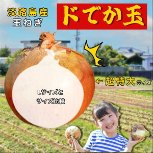 WH ʂ˂bGibYnE_ƒbkC͒ǉb̂t@[ ʂ˂ ܂˂ ʃlM ʔK WH܂˂ WHY WH Y  Mtg 蕨  WH