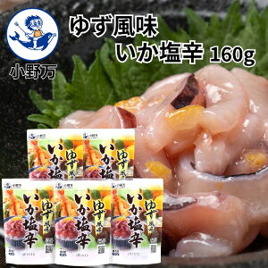 yyVX[p[SALE10%OFFzyVLO܁yz䂸h160gy얜zH꒼ [J[  _炩 Ì 䂸 h h CJ̉h ①   т̂ 