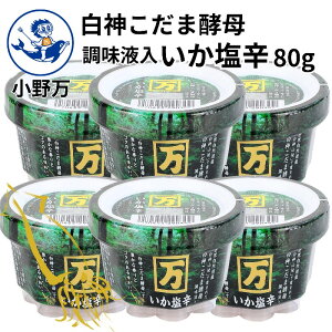 yVLO܁yz_܍y꒲th80gy얜zH꒼ [J[ Z Ì _܍y  RN h h CJ̉h ①   Jbv 