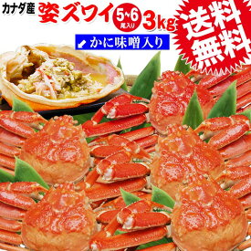 送料無料 ズワイ カニ/蟹/ずわい ボイル ズワイガニ 姿 (カナダ産) 3kg(5尾か6尾入)鍋セット 材料 鍋 不揃い