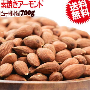 A[h  󂠂 fĂA[h 600g fĂ r[g포  AJ JtHjAY ٍޗ ibc ނ