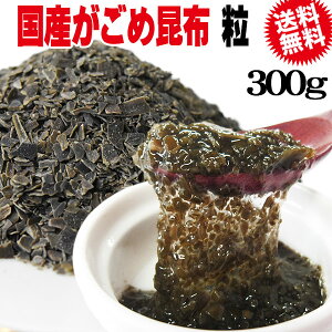 󂠂Iߍz lolo  yzz YyVRzߍzs100tE 300g×1(kCY َY)`bv z̖@y[֌zR`  [z 