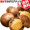 【8月20日以降の発送予定】 マカダミアナッツ 送料無料 殻付き マカデミアナッツ 1kg×1袋 オーストラリア産 ロースト 製菓材料 ナッツ おつまみ おやつ　【クラッカー無し】 ※専用のナッツクラッカーが必要です