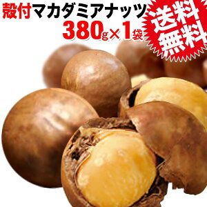}J_~Aibc 380g [֌ 