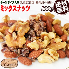 ミックスナッツ 500g 無添加 4種ミックス 素焼きアーモンド 生 くるみ 少しの ロースト カシューナッツ デーツダイス メール便限定 送料無料