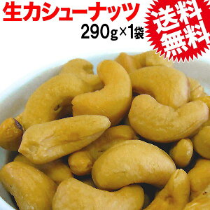  JV[ibc 290g ChY [֌  |bL