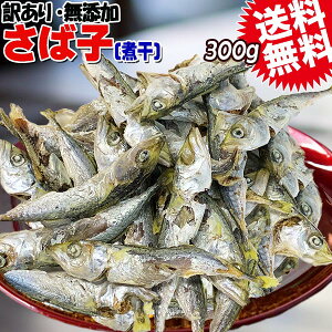  Y Ύq ϊ 300g LY 召s I ϊ Hׂϊ  [֌ 傫TCYłB