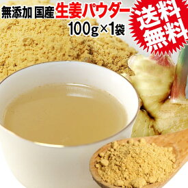 生姜パウダー しょうが ショウガ 国産 無添加 生姜 粉末 100g×1袋(高知県産)ジンジャー 送料無料 ポッキリ ぽっきり メール便限定