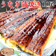 ギフト うなぎ蒲焼き　約200g前後×10尾 うなぎ 蒲焼き【国産 国内産】炭火焼うなぎ蒲焼 特大 土用の丑の…