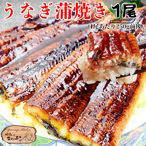 Ȃ ĂyY YzYΏĂȂ1 (1F250gO) yp̉N̓ {茧YEY Ẵ^t