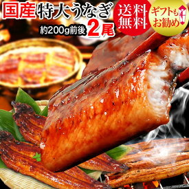 楽天市場 うなぎの骨 食材ウナギ 加工品 魚介類 水産加工品 食品の通販