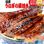 送料無料 贈り物 ギフト 贈り物ギフト うなぎ 蒲焼き 国内産 送料無料　1尾約230g〜250g前後×3尾セット（約750g前後） 炭火焼うなぎ蒲焼 特大サイズ 宮崎県産・鹿児島県産※鰻 蒲焼のタレ付き/ウナギ/土用/丑の日/ひつまぶし 土用の丑の日