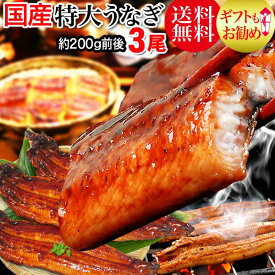 楽天市場 うなぎ 父の日の通販