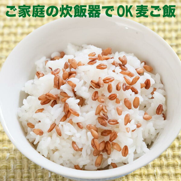 【8月27日以降の発送予定】スーパー大麦バーリーマックス180g×1袋送料無料メール便限定⇒送料0円