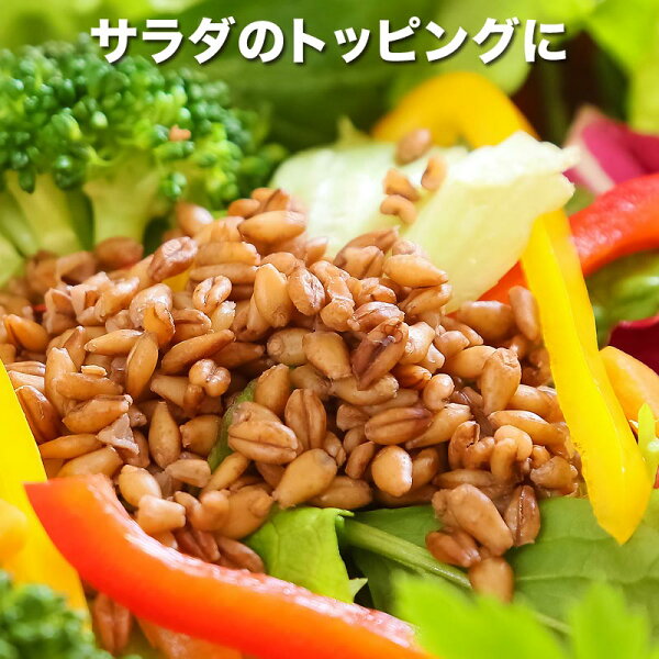 【8月27日以降の発送予定】スーパー大麦バーリーマックス180g×1袋送料無料メール便限定⇒送料0円