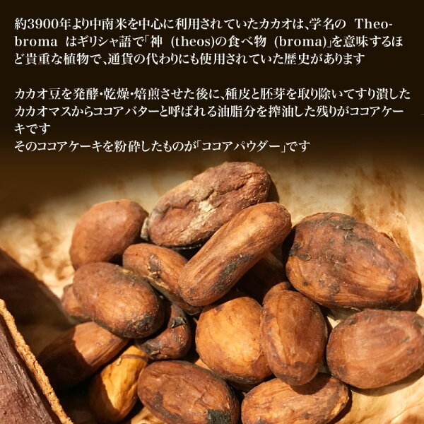 ココアパウダー450g×1袋ココア無添加純ココアオランダ産