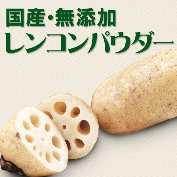 れんこんレンコン蓮根【メール便限定⇒全国送料0円】送料無料ポッキリぽっきり国産徳島県産無添加れんこんパウダー(蓮根粉)100g