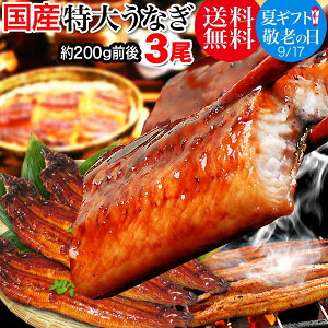 【半額クーポン利用で8,980円に!】 送料無料 うなぎ お歳暮 ギフト 送料無料 うなぎ 蒲焼き 国内産【国産】 1尾180g前後〜200g前後 うなぎ蒲焼 特大3尾入 宮崎県産・鹿児島県産 ※鰻 蒲焼のタレ