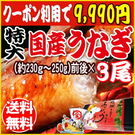 うなぎ 蒲焼き 国内産 送料無料 ギフト 土用の丑の日 お中元 国産 うなぎ 鰻 (1尾約230g前後〜250g前後)うなぎ蒲焼 特大3尾入 宮崎県産・鹿児島県産 ※蒲焼のタレ付 誕生日 内祝い お祝い ウナギ