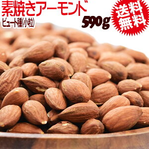 A[h  fĂ r[g ()  fĂA[h 590g AJ JtHjAY ٍޗ ibc