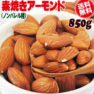 yzN[|p1,680~!z A[h  󂠂 fĂA[h 850g mp 󂠂(ނAX܂)y[֌ˑS0~z AJ Jt