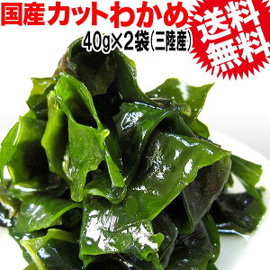 킩 Y  yz킩߁sOYtz/Jbg킩 40g×2 Y  Zbg  }OlVE