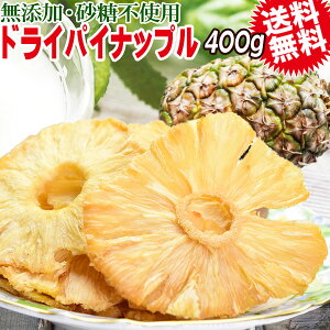hCpCibv 400g×1 EK_ÝAK[iY Y sgp [֌  hs-01