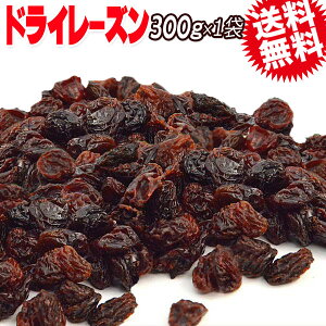 [Y hCt[c hC[Y(100)300g×1 Ԃǂ| mIC Y sgp (AJÝAgRY) [֌  Ԃǂ  |tFm[