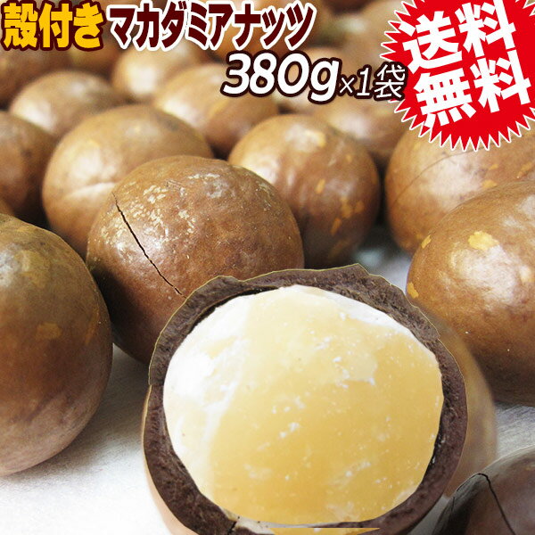 マカダミアナッツ殻付き400gナッツメール便限定送料無料ポッキリぽっきりパルミトレイン酸