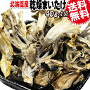 舞茸 まいたけ 乾燥 国産 40g×1袋 マイタケ 北海道産 訳あり 折れや欠け 送料無料 まいたけ茶 に