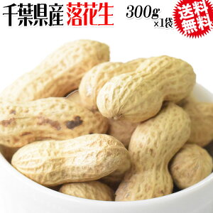 Ԑ tY s[ibc  kt 300g×1 ibc s[ic@ [֌ Ԑ |s[ibc  |s[ic