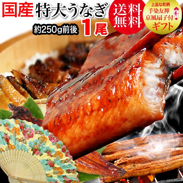 送料無料うなぎお中元ギフトお中元ギフトプレゼント送料無料うなぎ蒲焼き国内産扇子付き1尾(約230g前後〜250g前後)うなぎ蒲焼1尾特大サイズ宮崎県産・鹿児島県産※鰻蒲焼のタレ付き【楽ギフ_のし宛書】ウナギ土用丑の日532P14Oct16