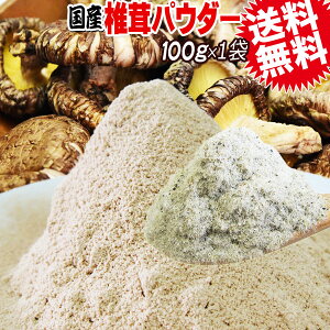  Y ő  100g×1 e߂̕ [֌ 1000~|bL  OHi G^fj@Y ő 