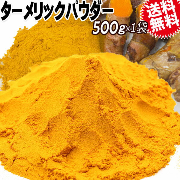 ターメリック送料無料ポッキリターメリックパウダー(粉末)500g×1袋インド産メール便限定ウコン