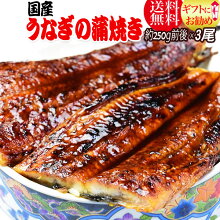 楽天市場 父の日ギフト プレゼント特集 うなぎ