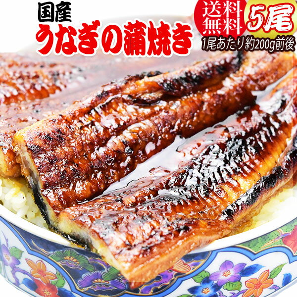 うなぎ蒲焼き国内産送料無料ギフト土用の丑の日お中元国産うなぎ鰻贈り物ランキング炭火焼うなぎ蒲焼特大5尾入宮崎県産・鹿児島県産※鰻蒲焼のタレ付