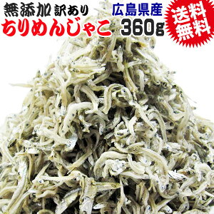 y10{ȍ~̔\z L 󂠂 _炩 ߂񂶂Ⴑ 360g LY Y I 傫 킯 Y [֌ ۂ |bL J^N`CV