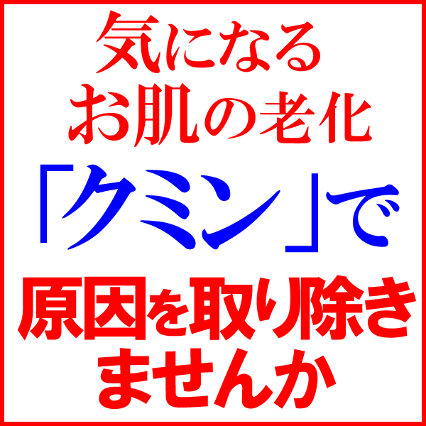クミン送料無料ポッキリクミンシード(種・ホール)500g×1袋インド産※メール便限定(宅配便をご選択の場合、送料900円が必要です。お気を付け下さい)