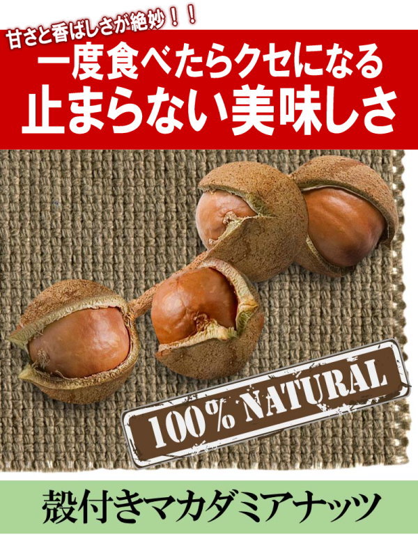 マカダミアナッツ殻付き400gナッツメール便限定送料無料ポッキリぽっきりパルミトレイン酸