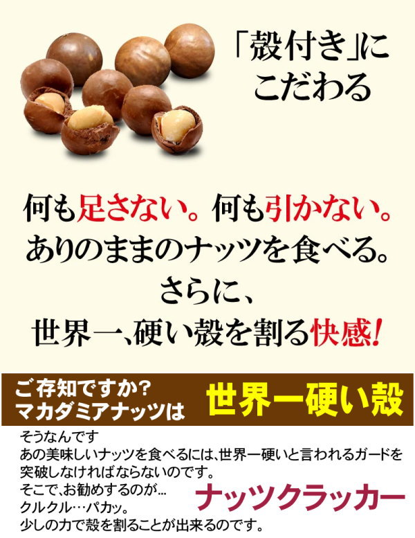 マカダミアナッツ殻付き400gナッツメール便限定送料無料ポッキリぽっきりパルミトレイン酸
