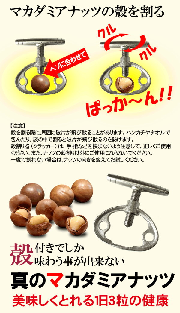 マカダミアナッツ殻付き400gナッツメール便限定送料無料ポッキリぽっきりパルミトレイン酸