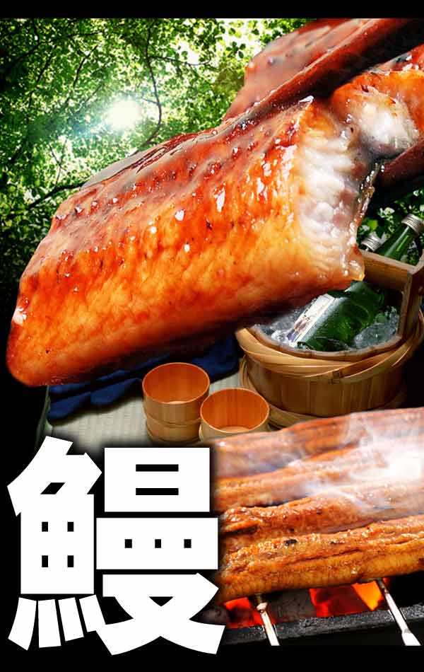 送料無料うなぎお中元ギフトお中元ギフトプレゼント送料無料うなぎ蒲焼き国内産扇子付き1尾(約230g前後〜250g前後)うなぎ蒲焼1尾特大サイズ宮崎県産・鹿児島県産※鰻蒲焼のタレ付き【楽ギフ_のし宛書】ウナギ土用丑の日532P14Oct16