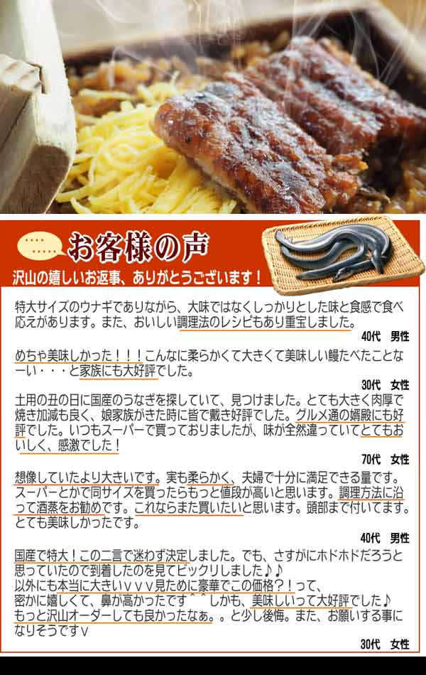送料無料うなぎお中元ギフトお中元ギフトプレゼント送料無料うなぎ蒲焼き国内産扇子付き1尾(約230g前後〜250g前後)うなぎ蒲焼1尾特大サイズ宮崎県産・鹿児島県産※鰻蒲焼のタレ付き【楽ギフ_のし宛書】ウナギ土用丑の日532P14Oct16