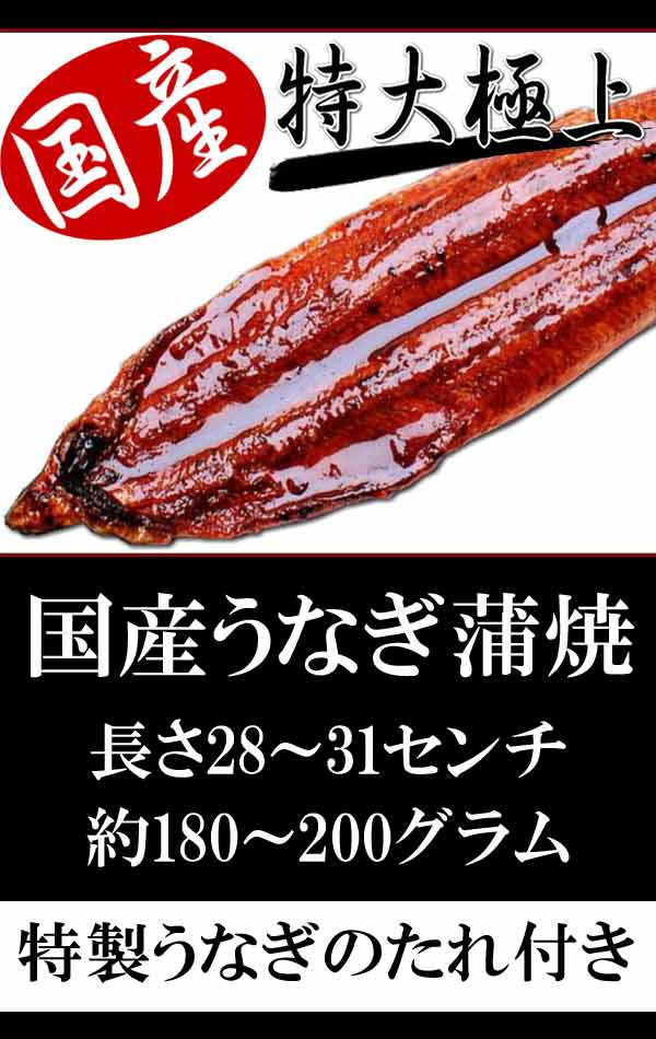 うなぎ蒲焼き国内産送料無料1尾180g前後〜200g前後炭火焼うなぎ蒲焼特大2尾入宮崎県産・鹿児島県産※鰻蒲焼のタレ付土用の丑ギフト贈り物ギフト贈り物ギフト