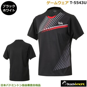 2025Nx ubNiCg@Q[EFA@T-5543U@Q[Vc@oh~gQ[EFAi1î݃lR|X\j{oh~gRiiEjTCYAjp